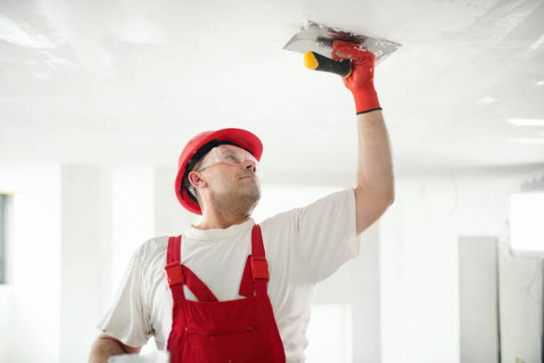 Royal Oak, MI Drywall and Painting Service Company